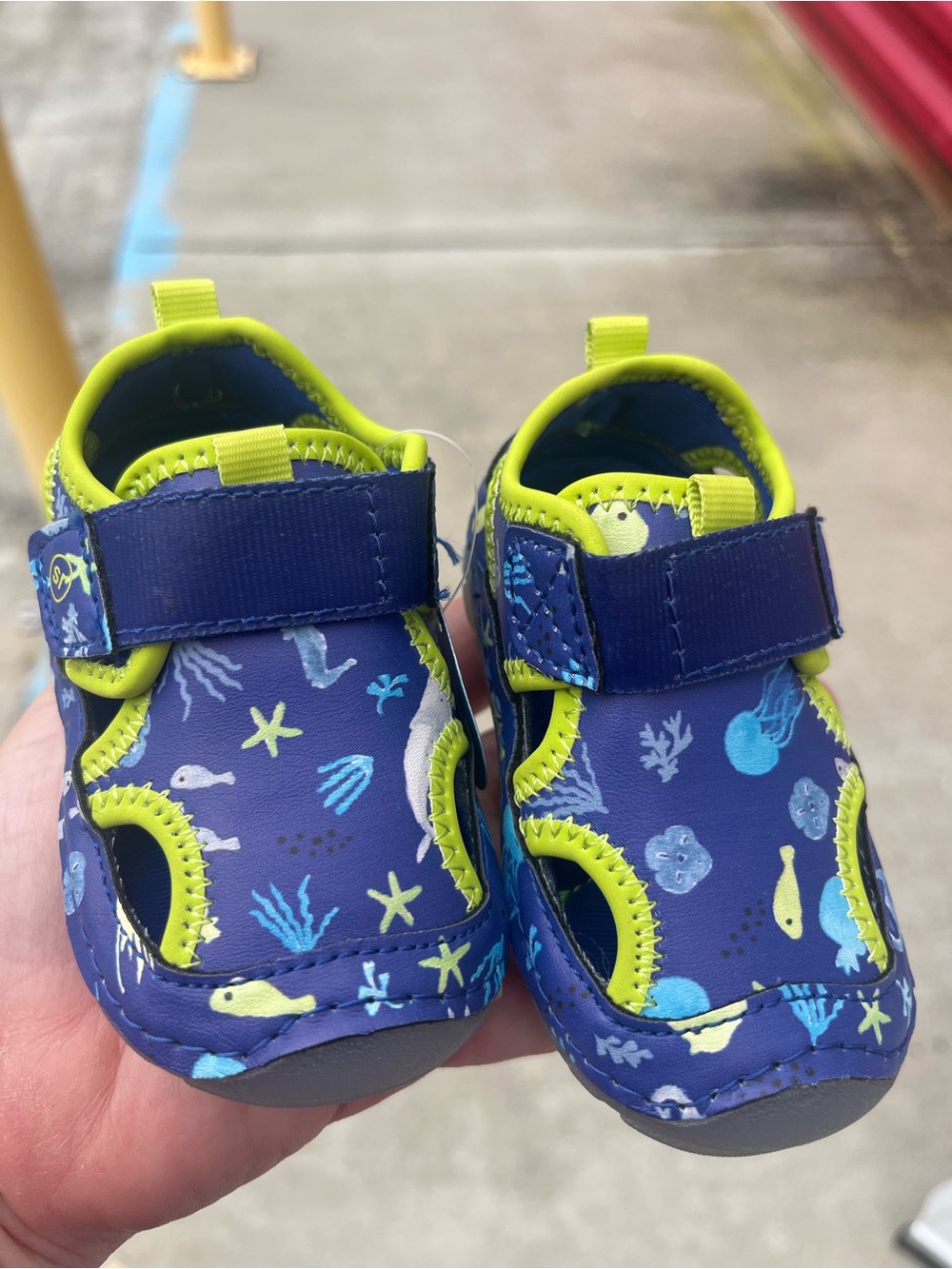 Stride Rite Kids Water Shoes in Navy with Lime Trim & Sea Life Print